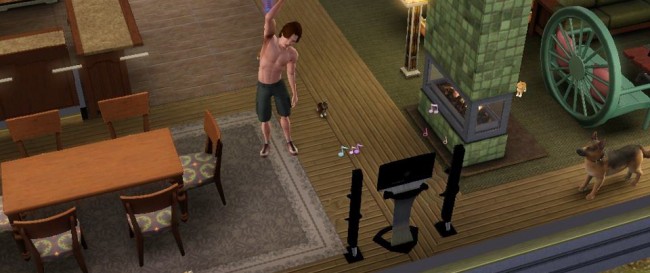 The Sims 3 Pets
